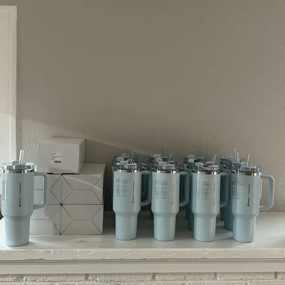 2024 Starbucks x Stanley Spring Blue 40 Oz Tumbler (New)